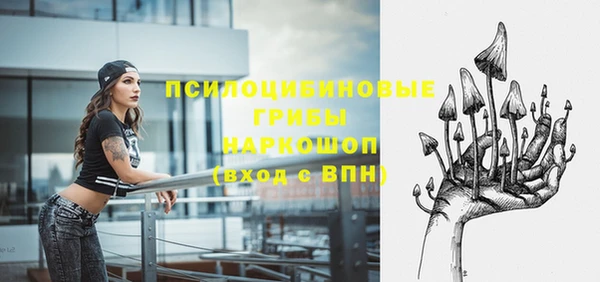 прущие грибы Беломорск