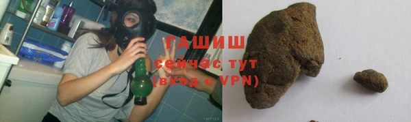 прущие грибы Беломорск